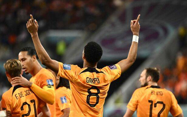世界杯战报：荷兰1-1厄瓜多尔，加克波、瓦伦西亚连场进球